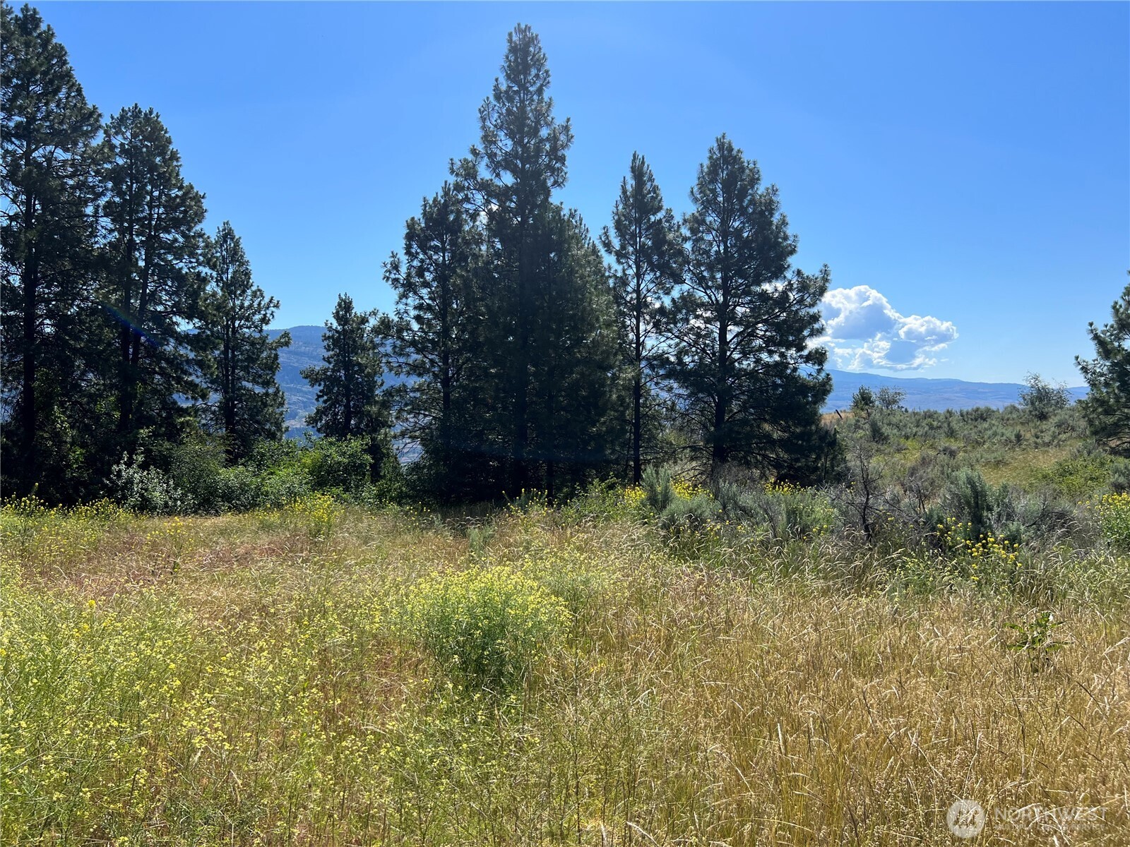 113 Eagles Bluff Road