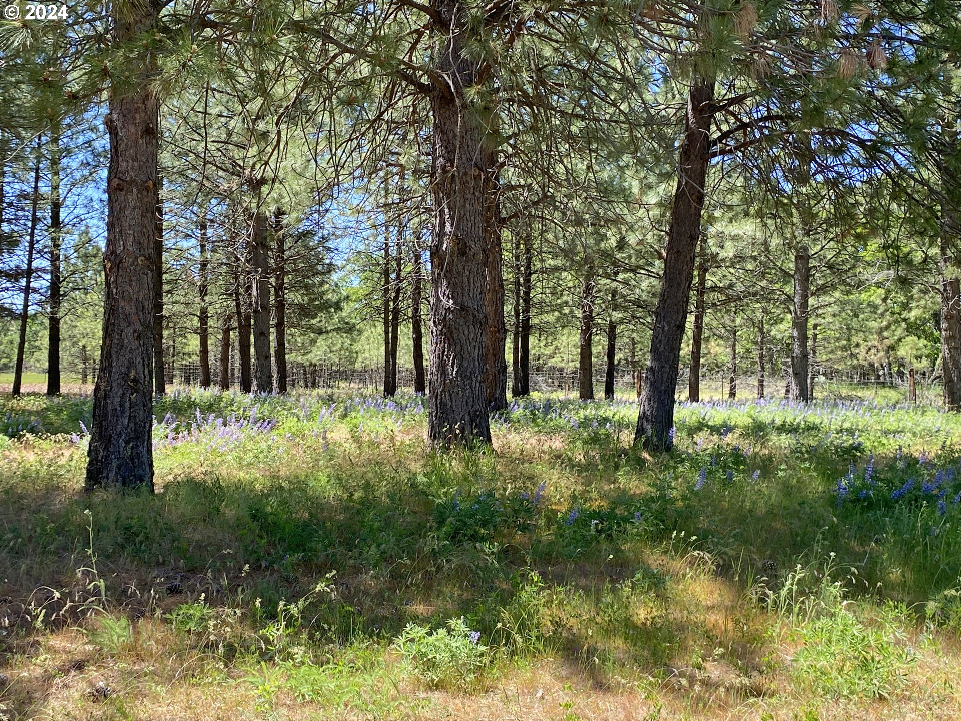 14 Old Cabin RD