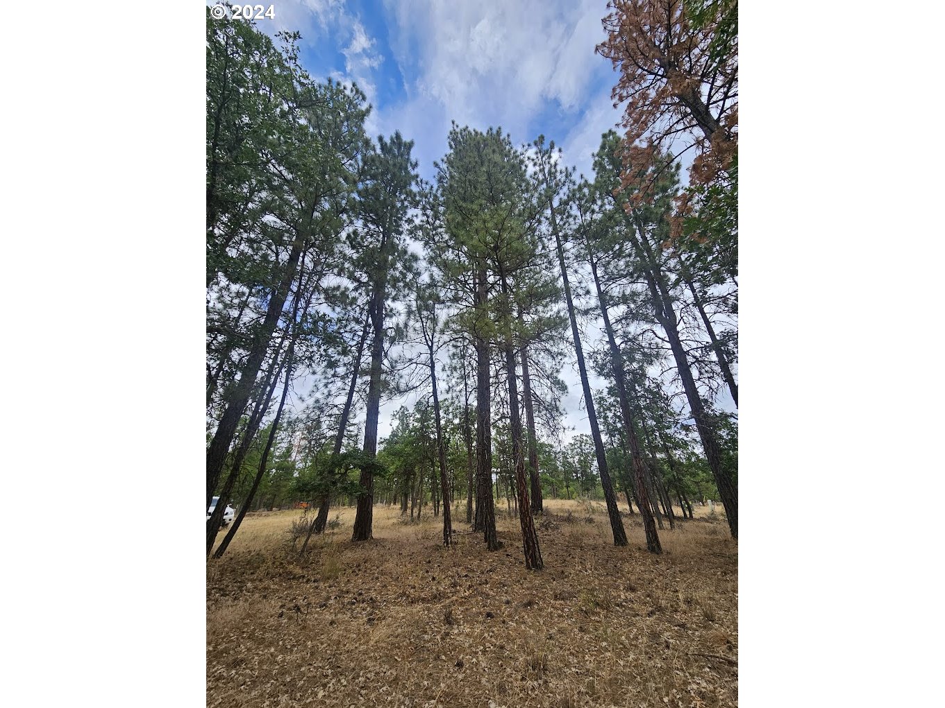 Tamarack RD 82