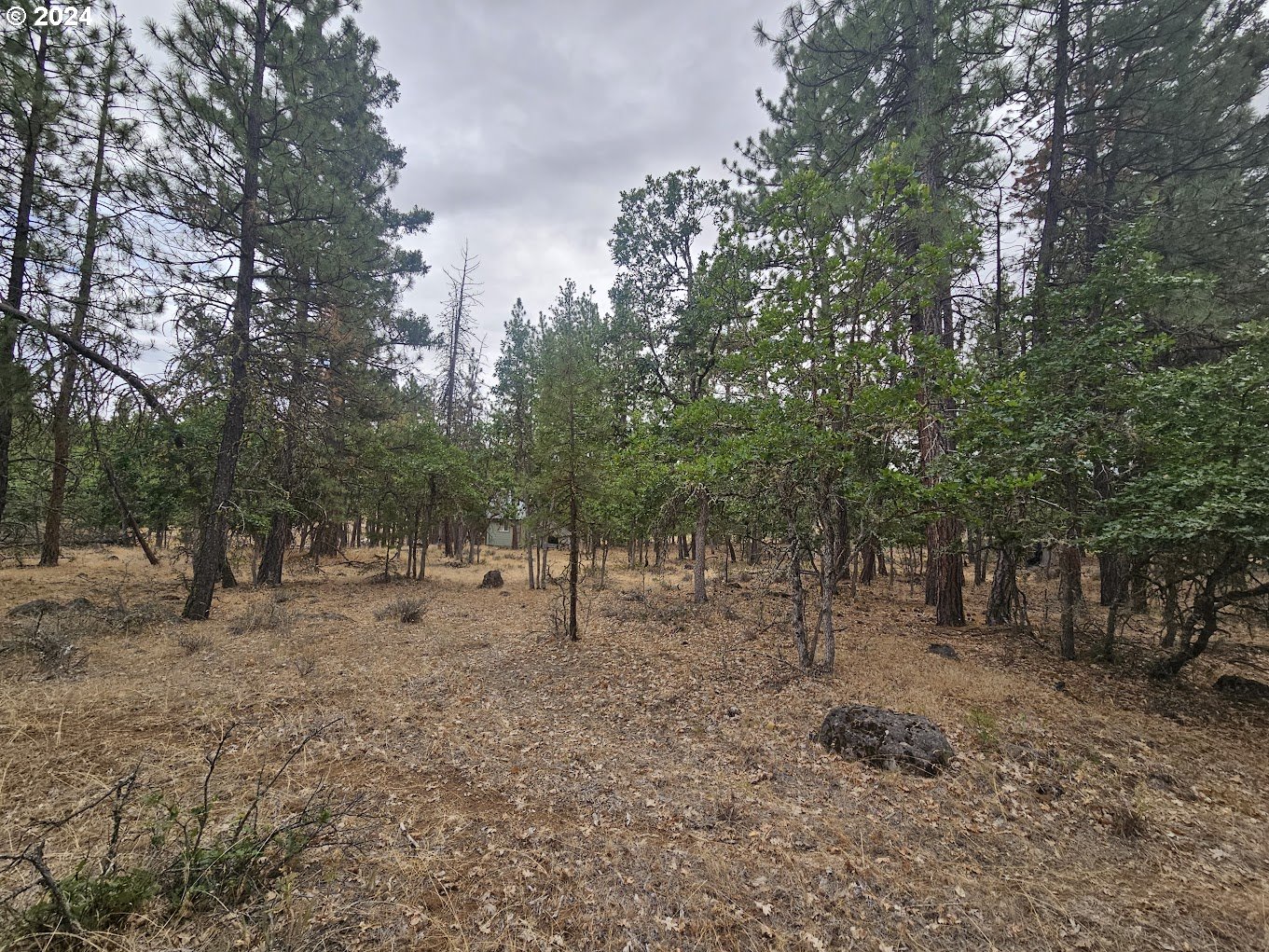 Tamarack RD 82
