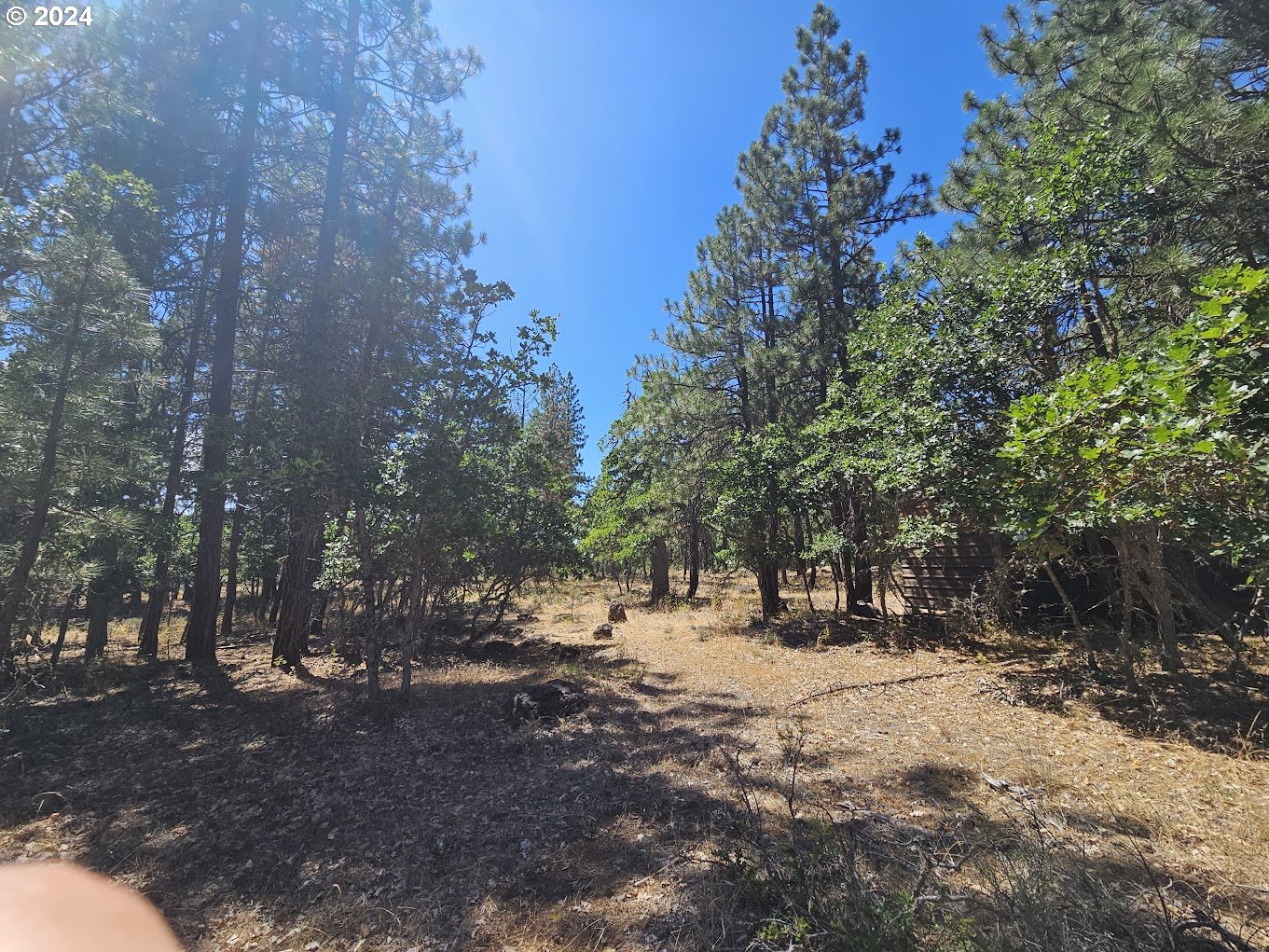 Tamarack RD 82
