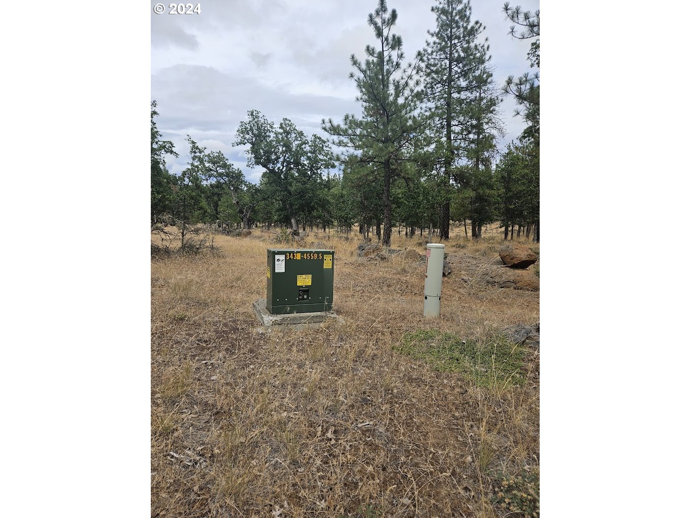 Tamarack RD 82