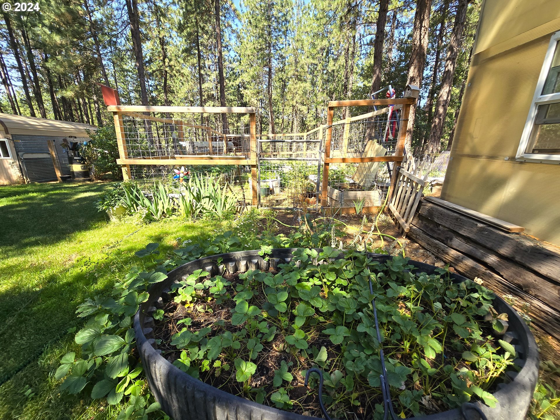 136 Jenkins Creek RD