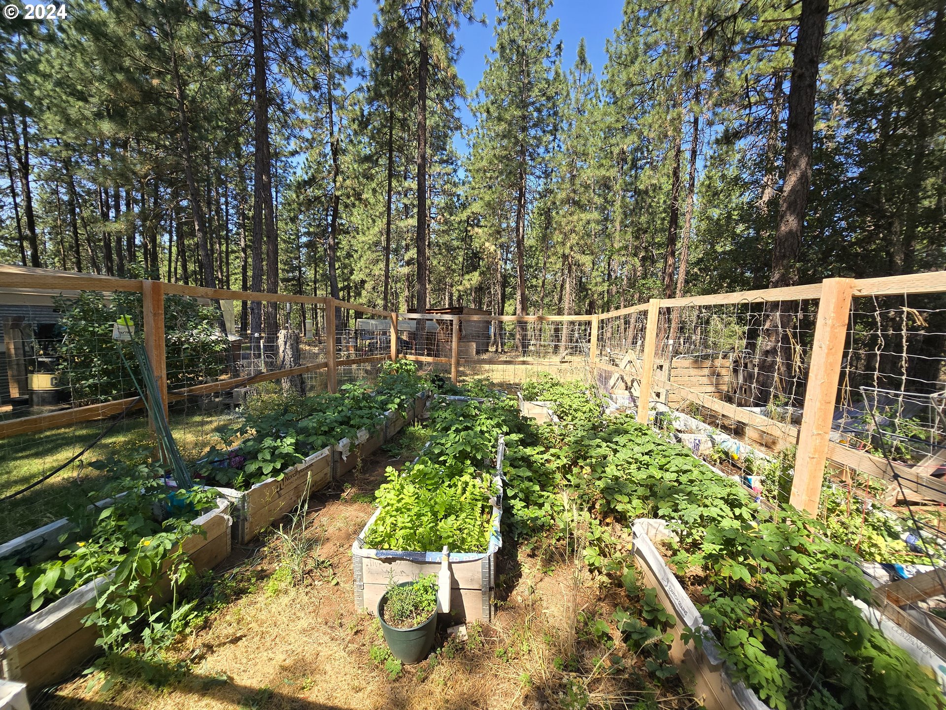 136 Jenkins Creek RD