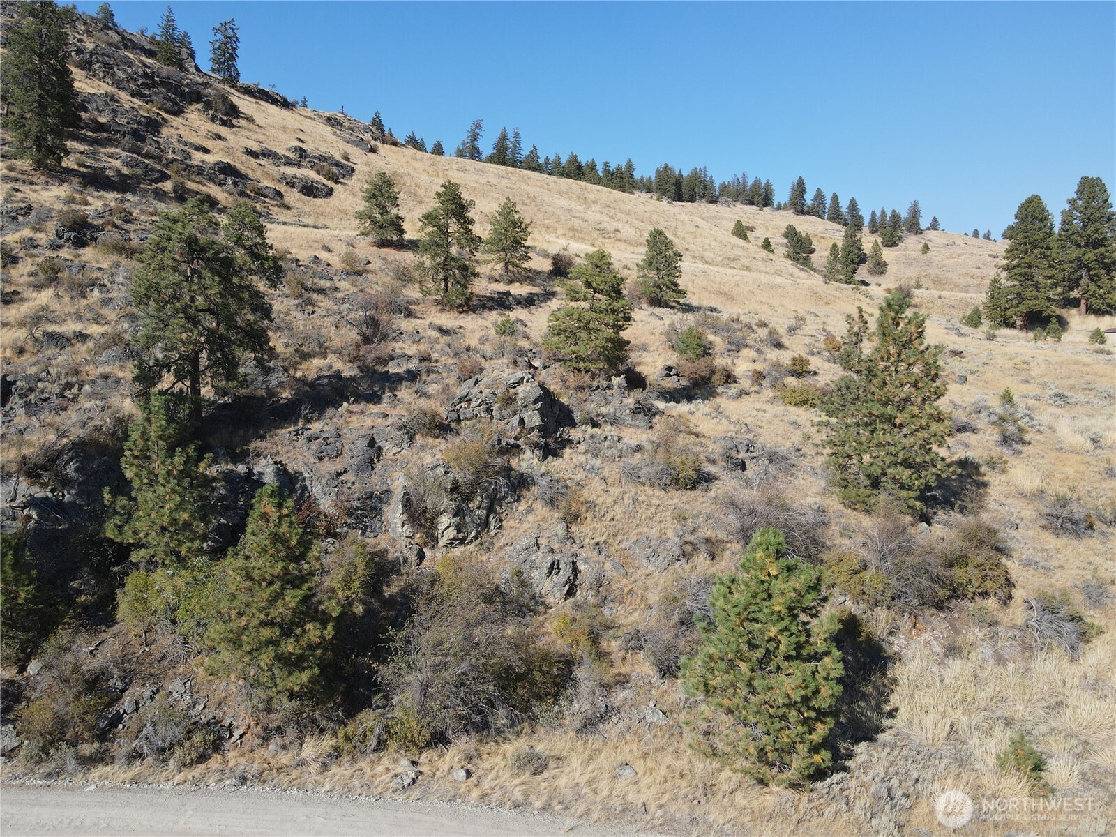 19 Meadowlark Road