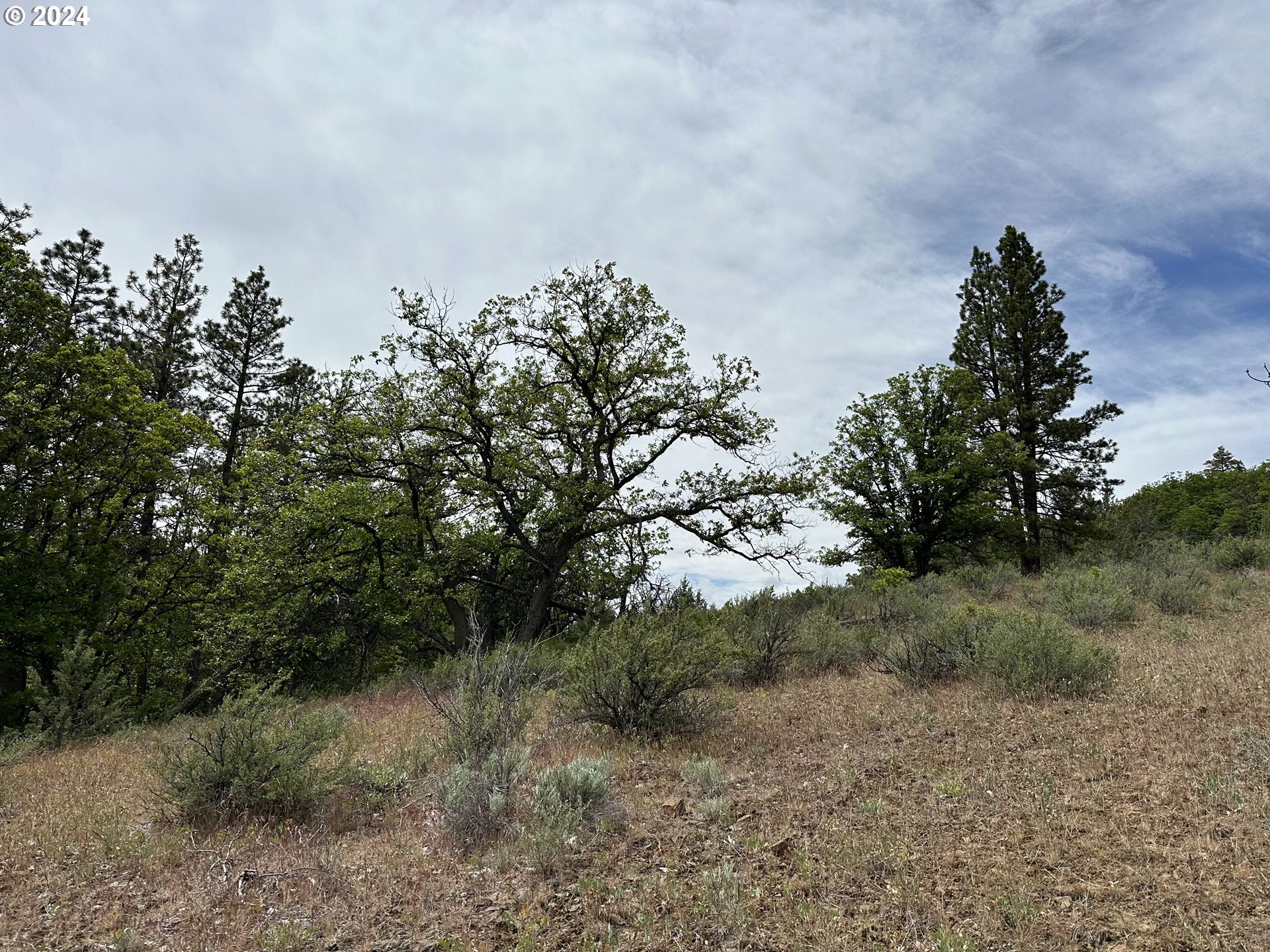 69 COUGAR RD