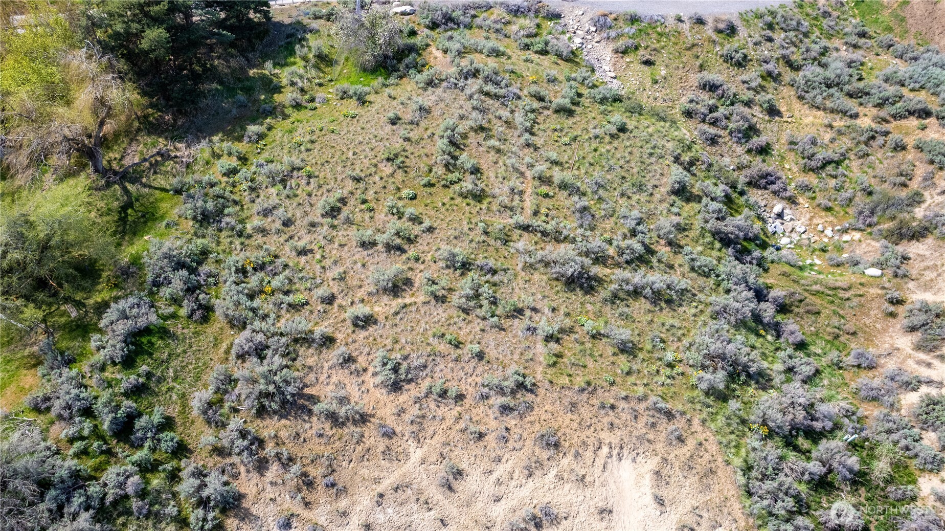 1530 Skyline Drive