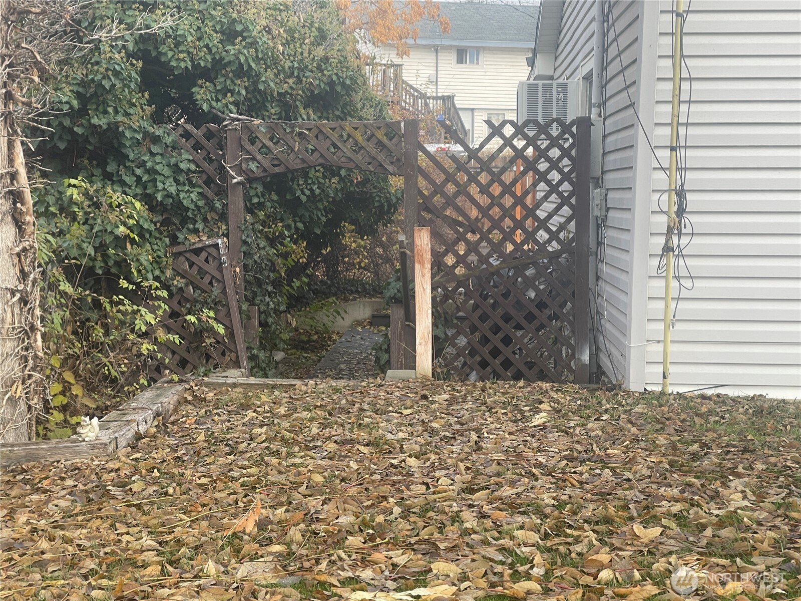215 Dewberry E