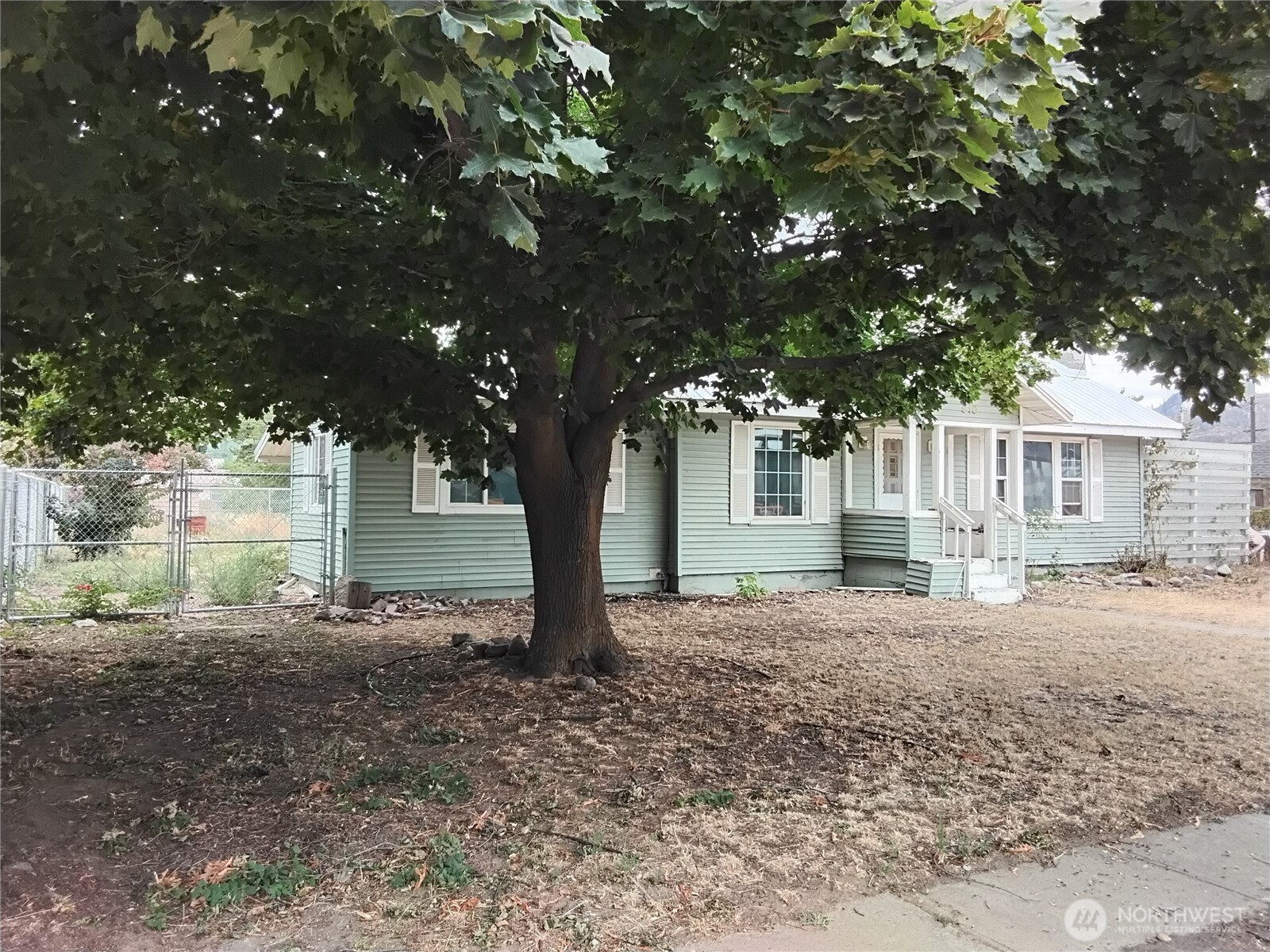 910 Dogwood Street