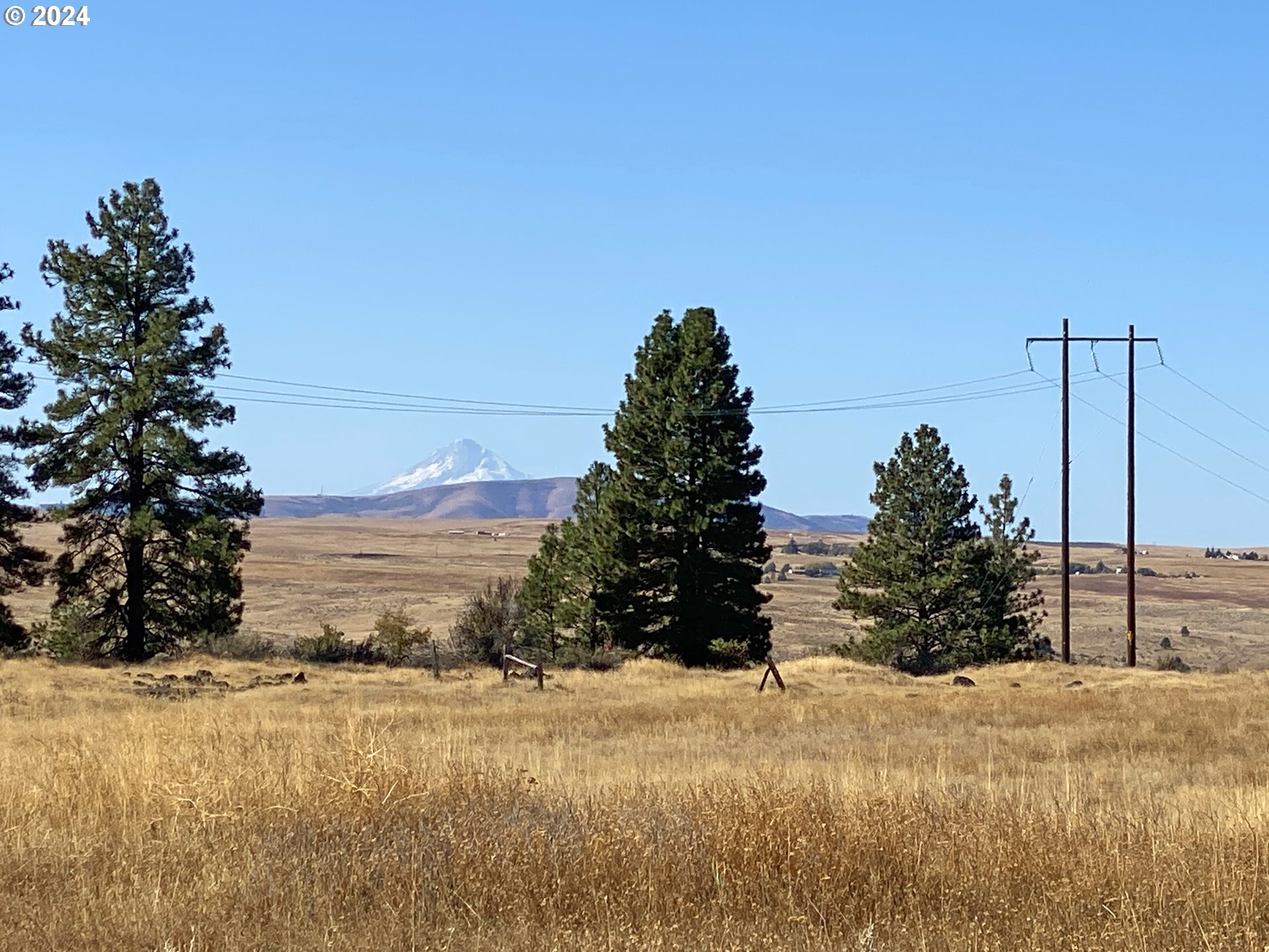 Esteb and Chandler RD