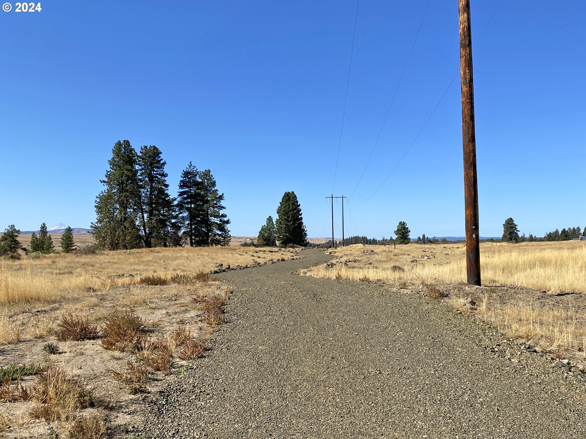 Esteb and Chandler RD