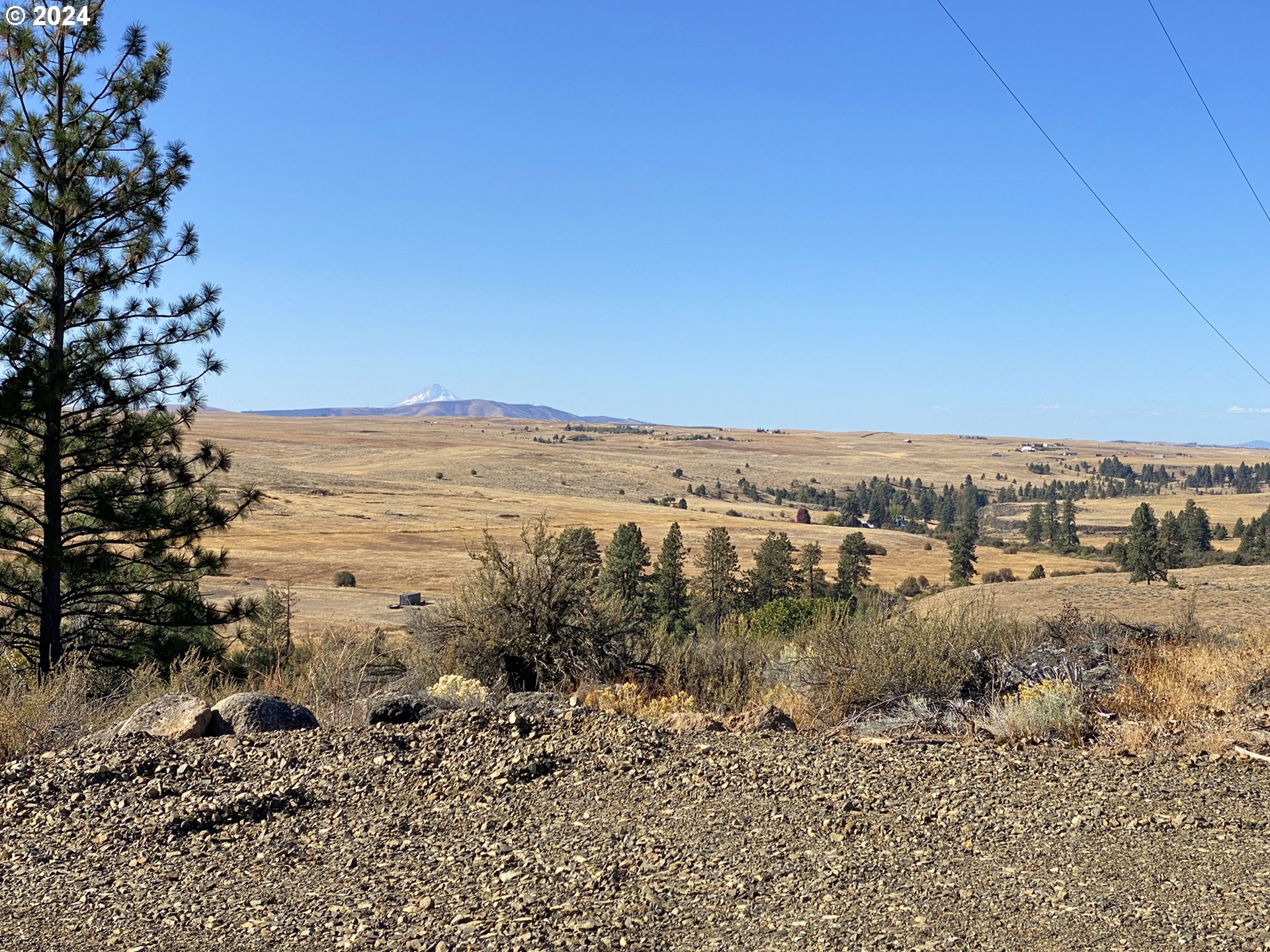 Esteb and Chandler RD