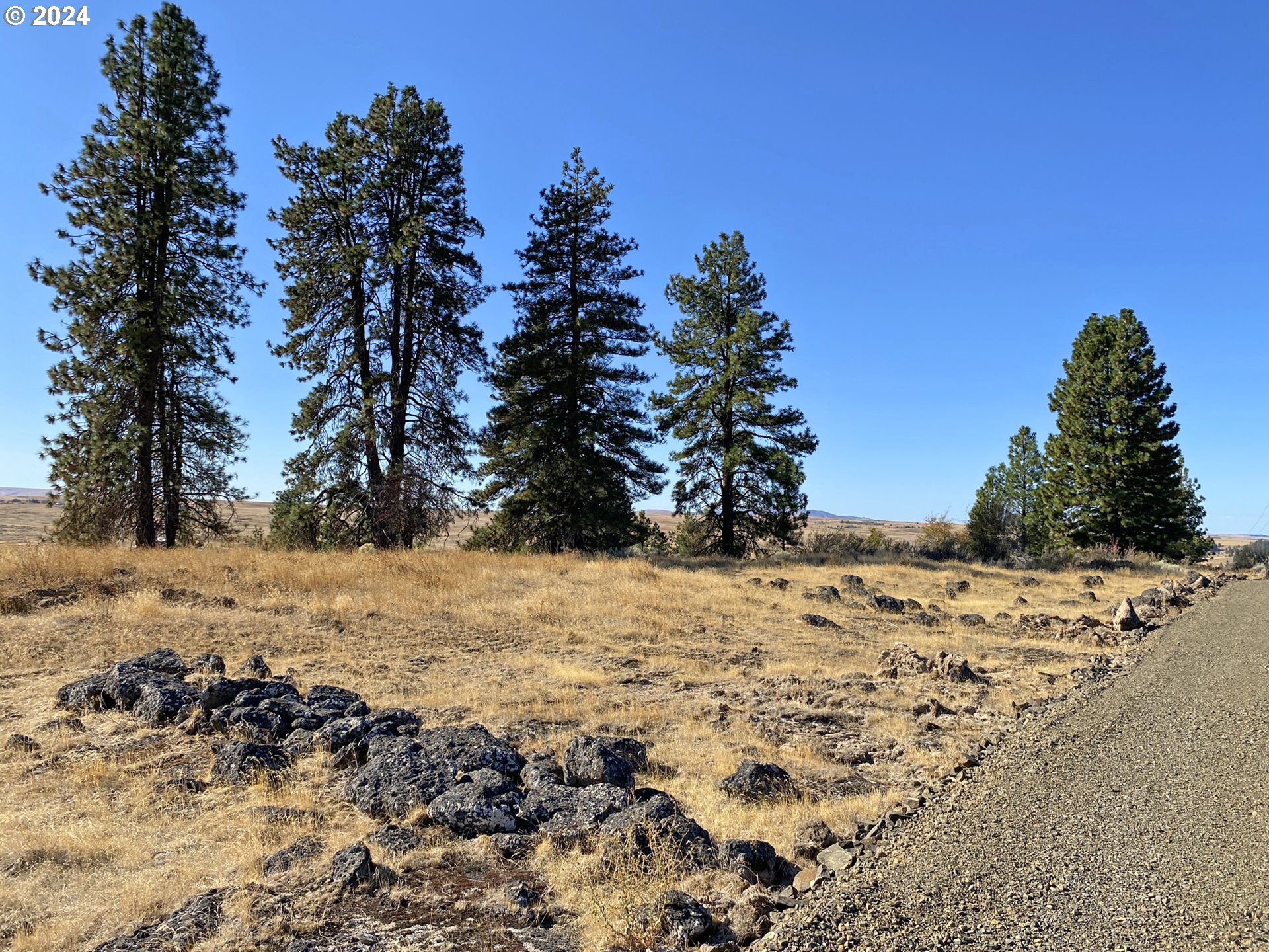Esteb and Chandler RD