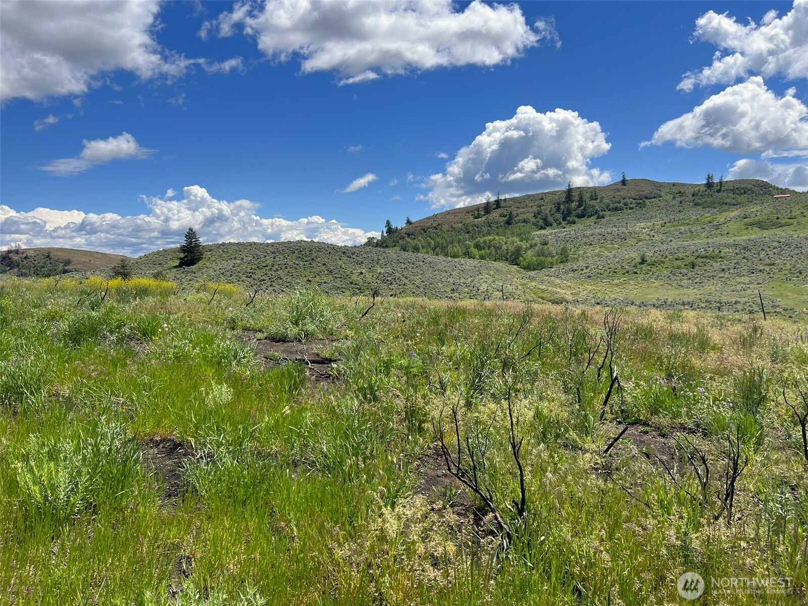 0 TBD Ellemeham Mountain Road