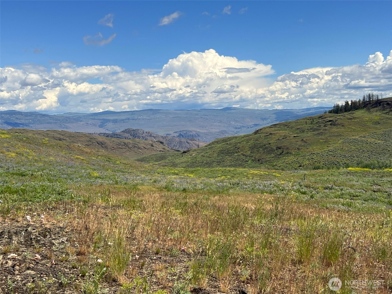 0 TBD Ellemeham Mountain Road