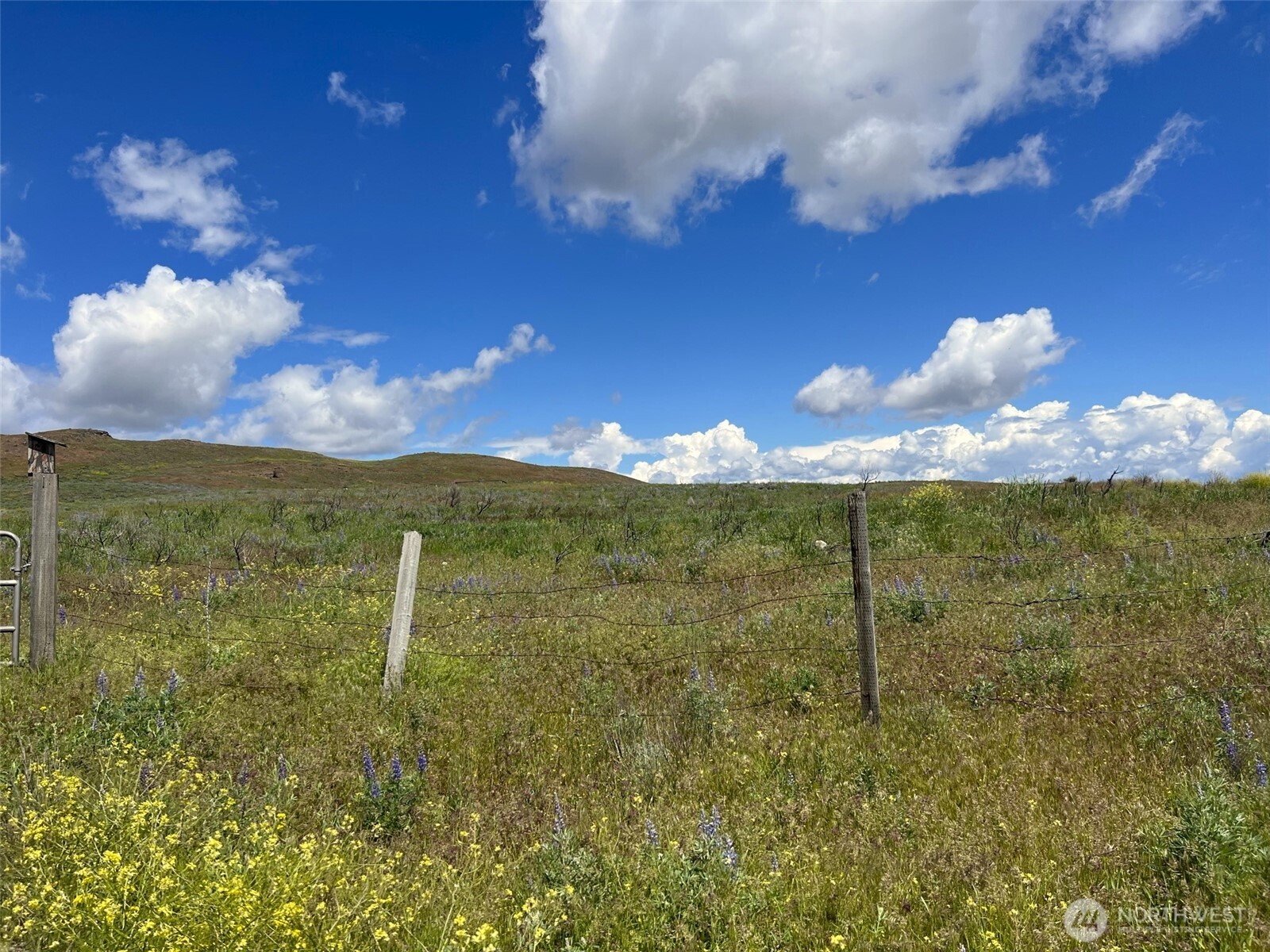 0 TBD Ellemeham Mountain Road