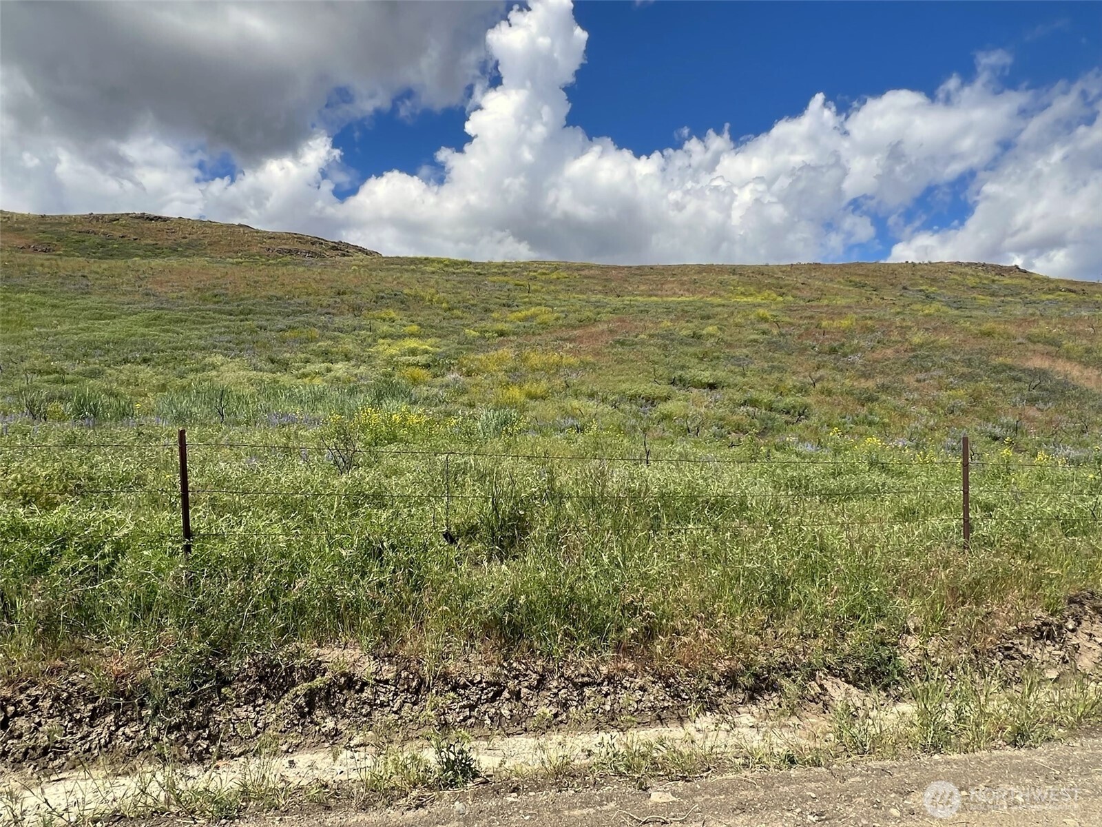 0 TBD Ellemeham Mountain Road