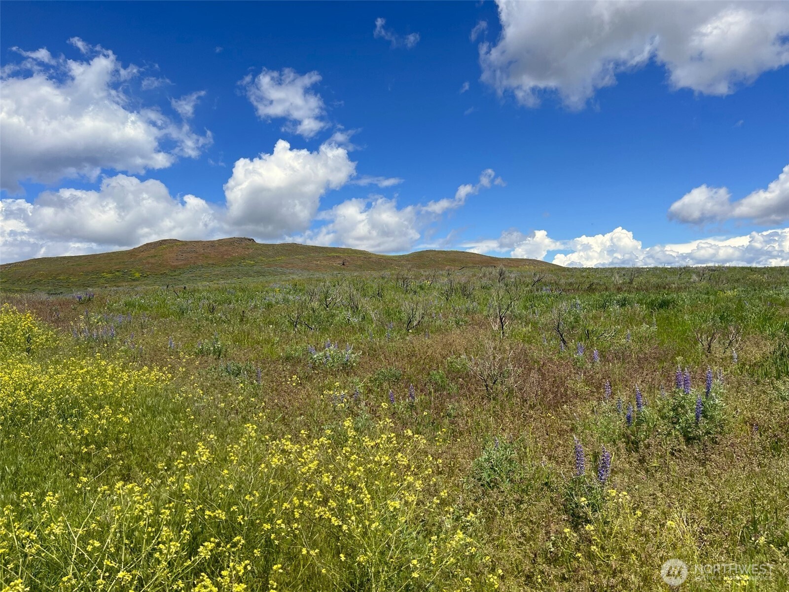 0 TBD Ellemeham Mountain Road