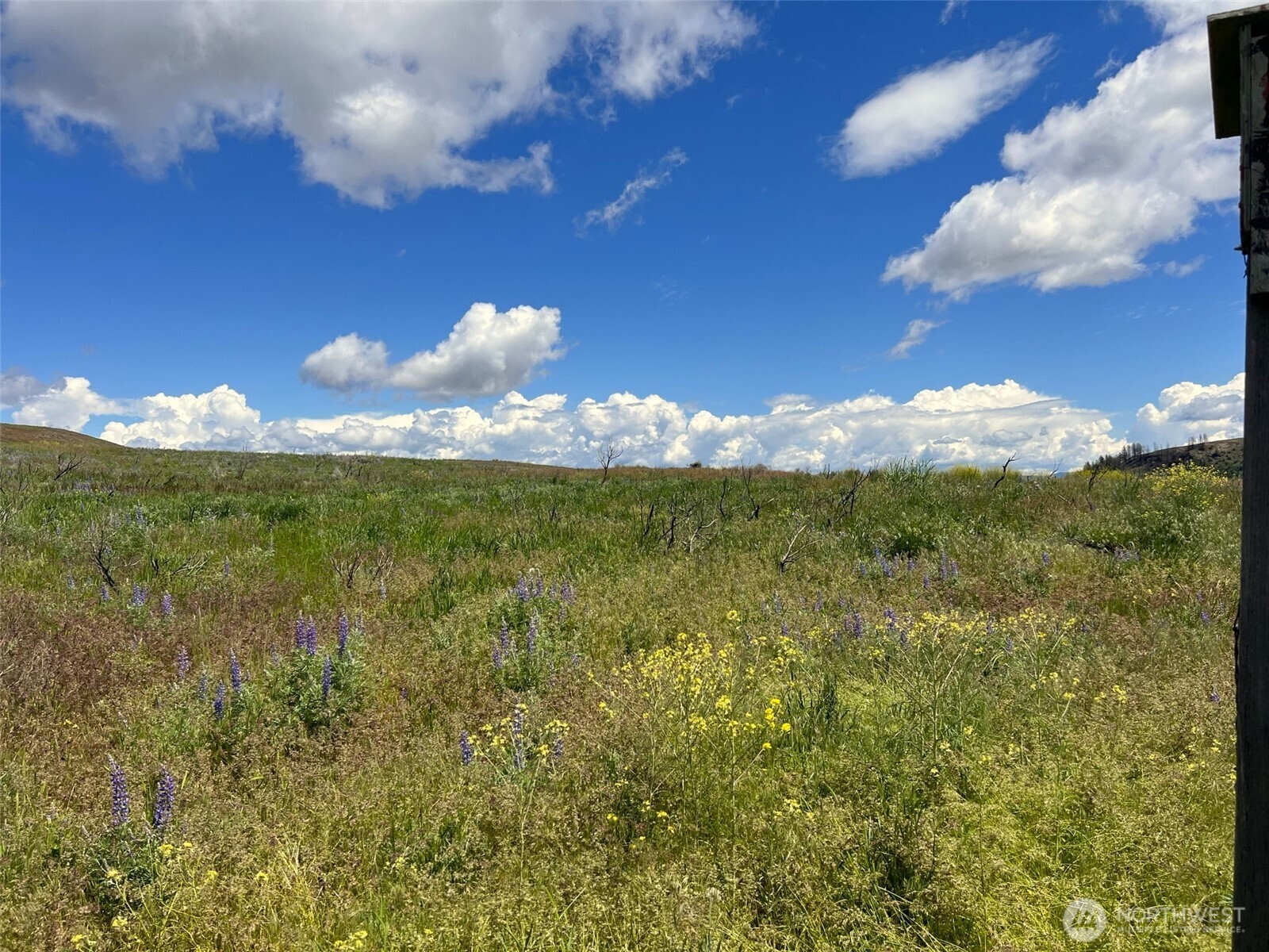 0 TBD Ellemeham Mountain Road