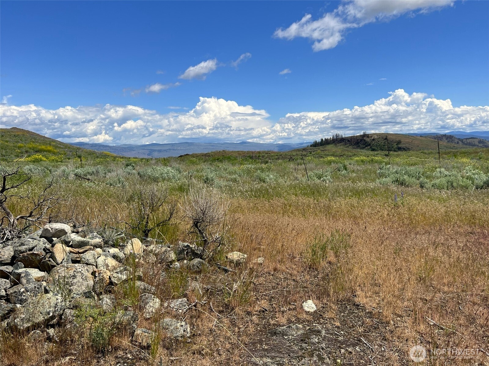 0 TBD Ellemeham Mountain Road