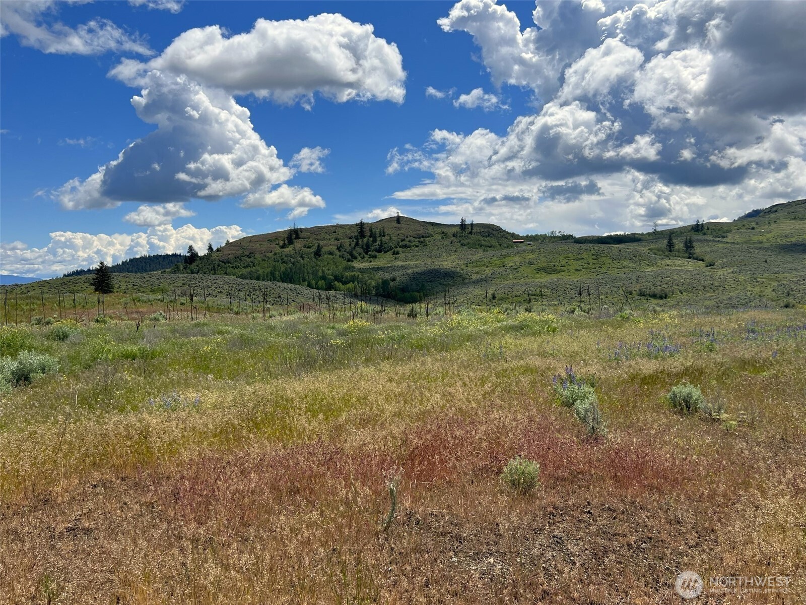 0 TBD Ellemeham Mountain Road