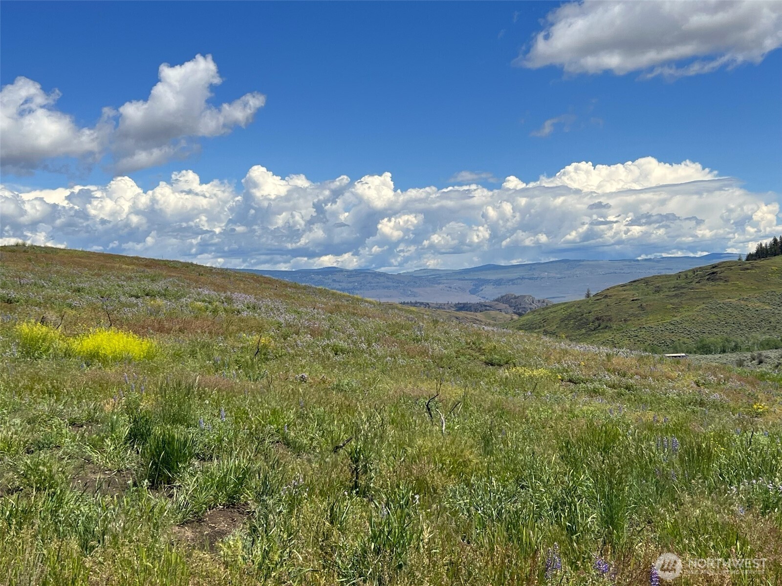 0 TBD Ellemeham Mountain Road