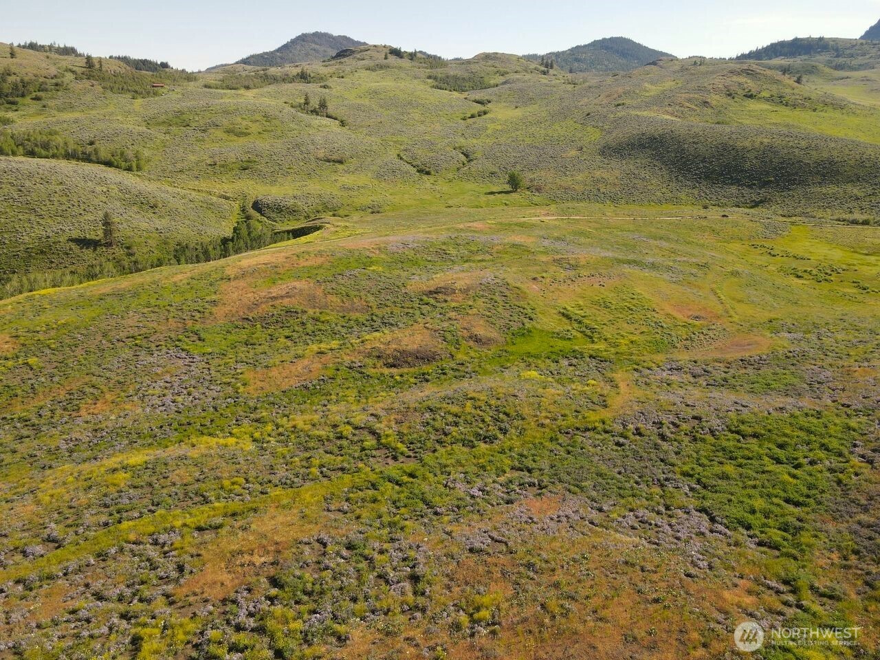 0 TBD Ellemeham Mountain Road