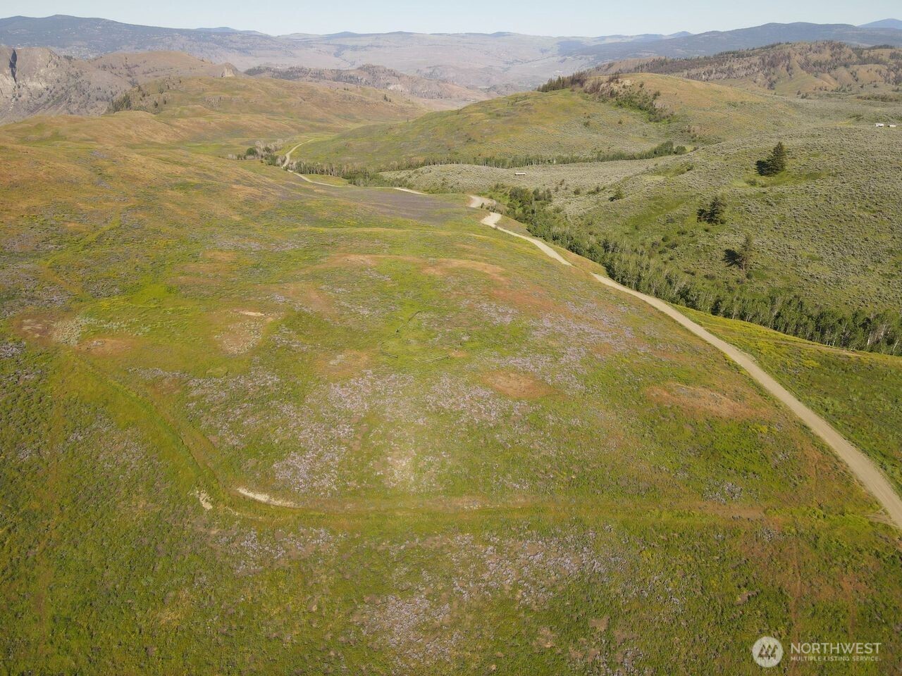 0 TBD Ellemeham Mountain Road