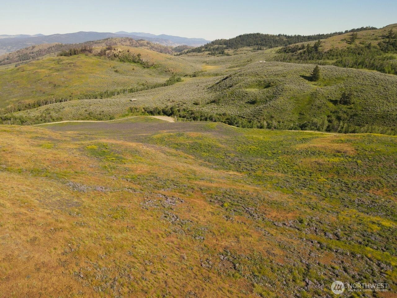 0 TBD Ellemeham Mountain Road