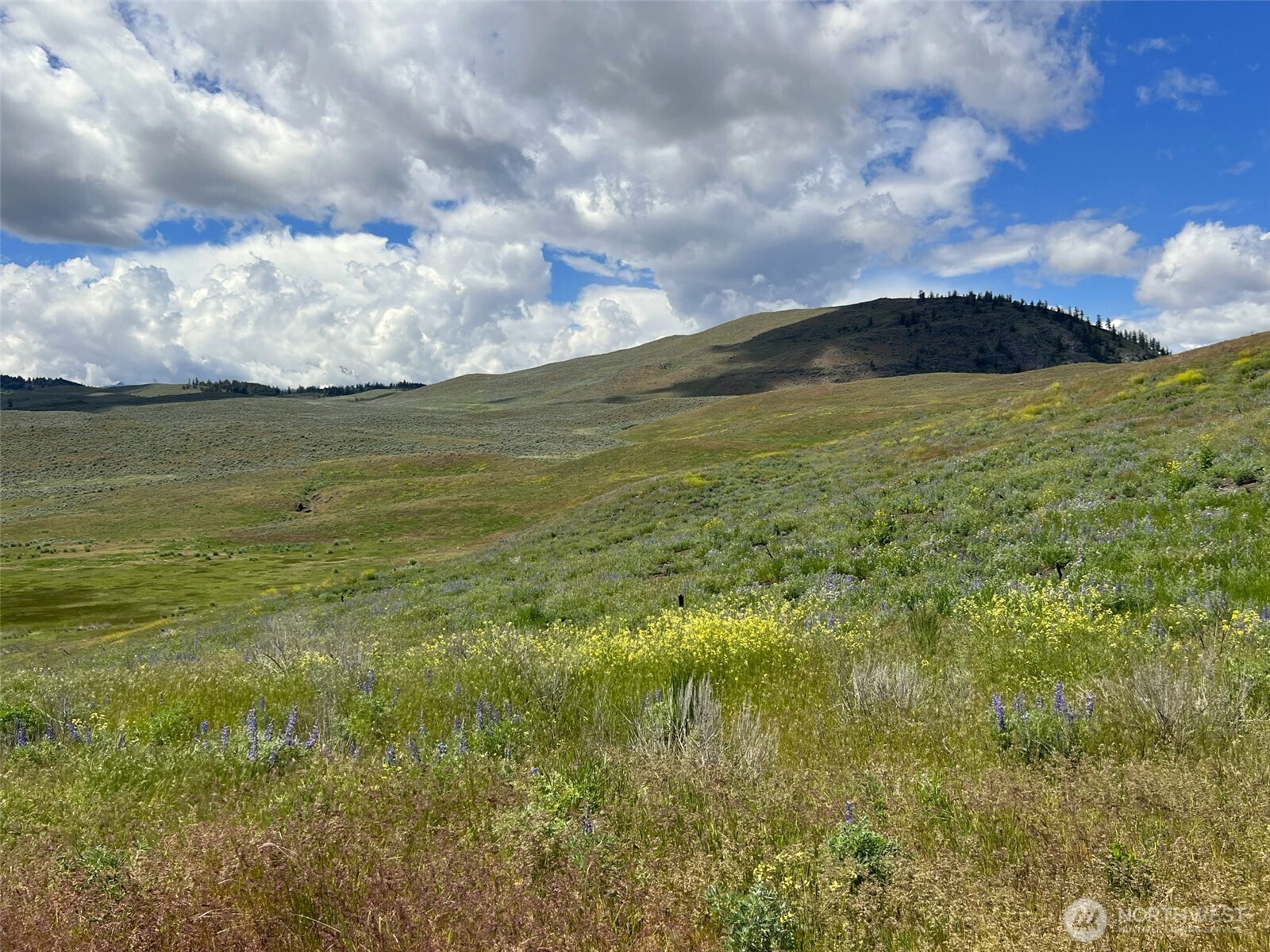 0 TBD Ellemeham Mountain Road