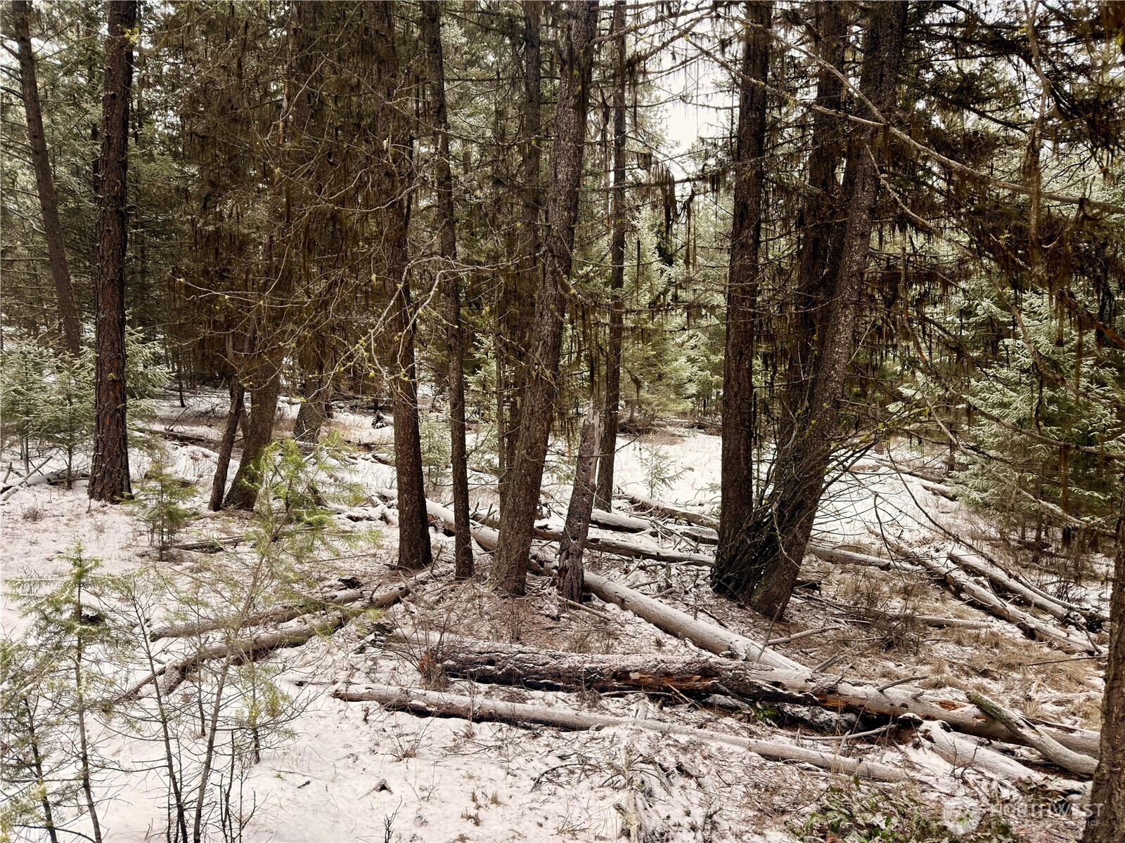 25 Miner's Ridge Road