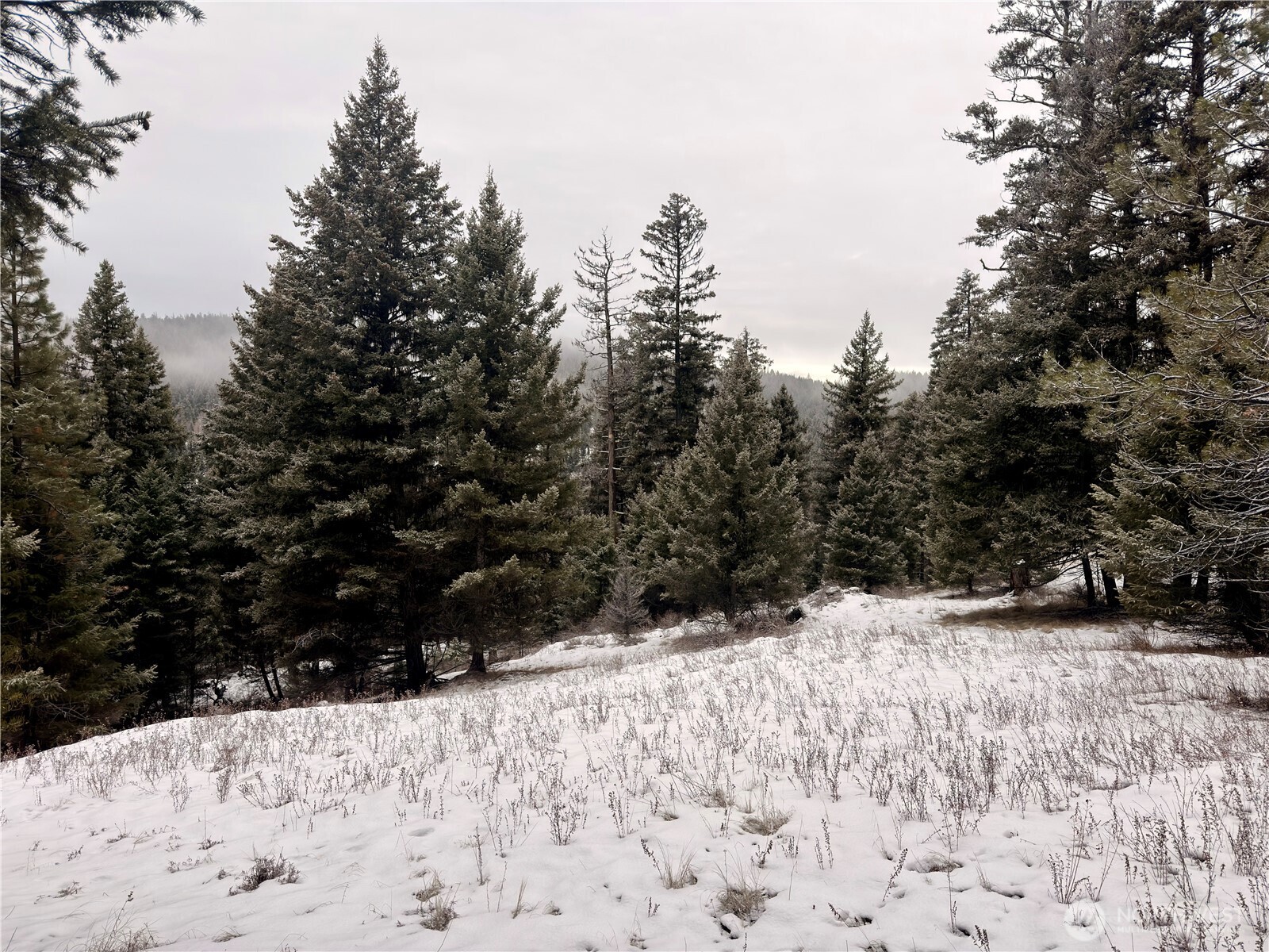 25 Miner's Ridge Road