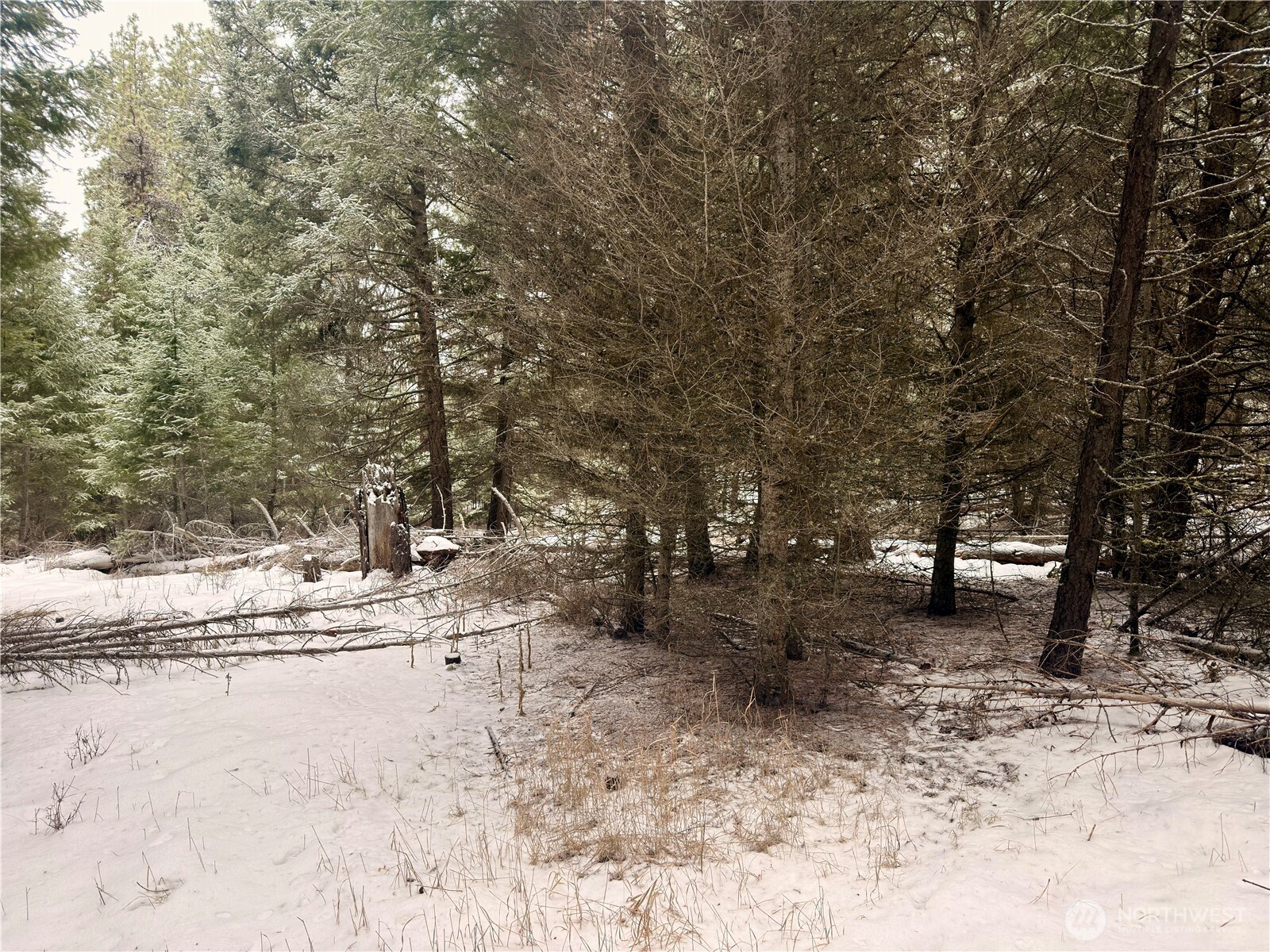 25 Miner's Ridge Road