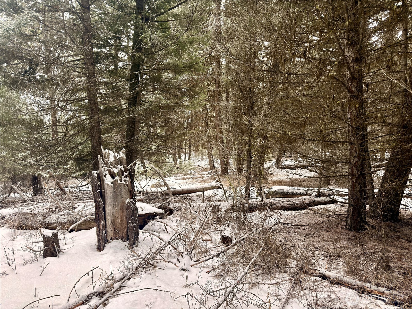 25 Miner's Ridge Road