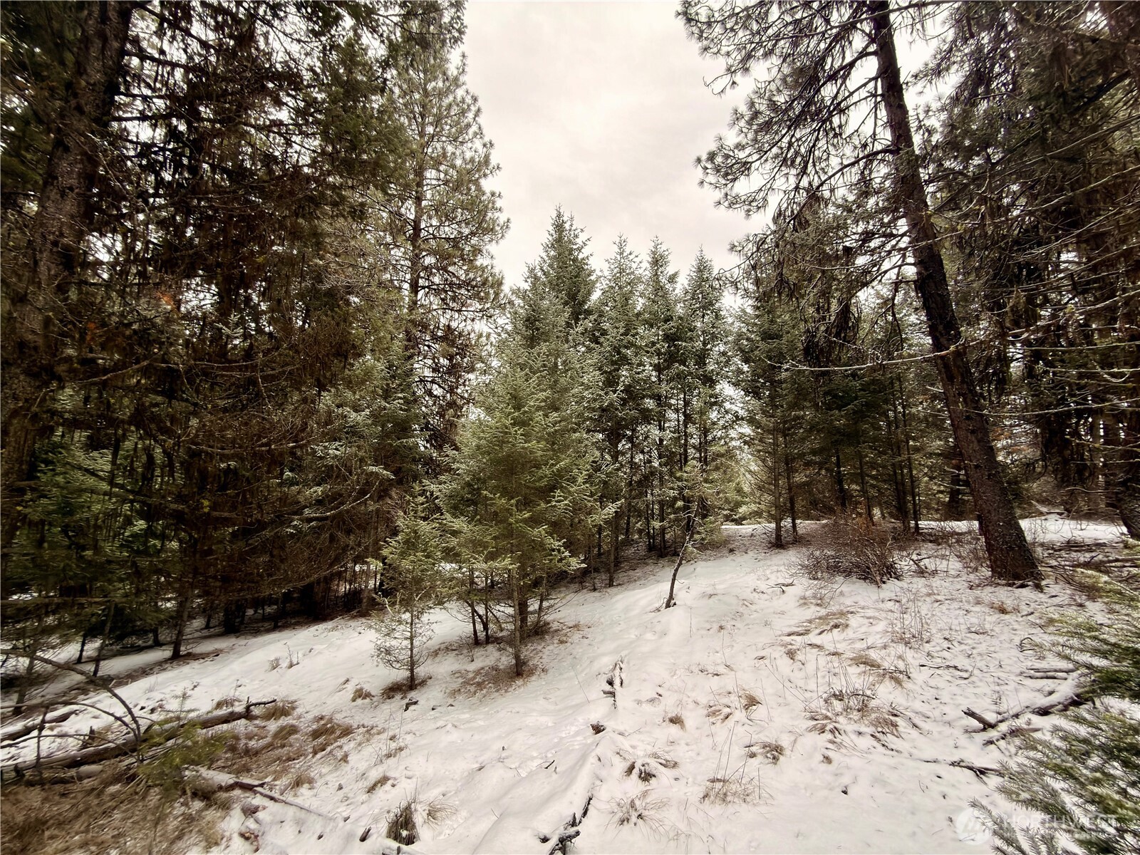 25 Miner's Ridge Road