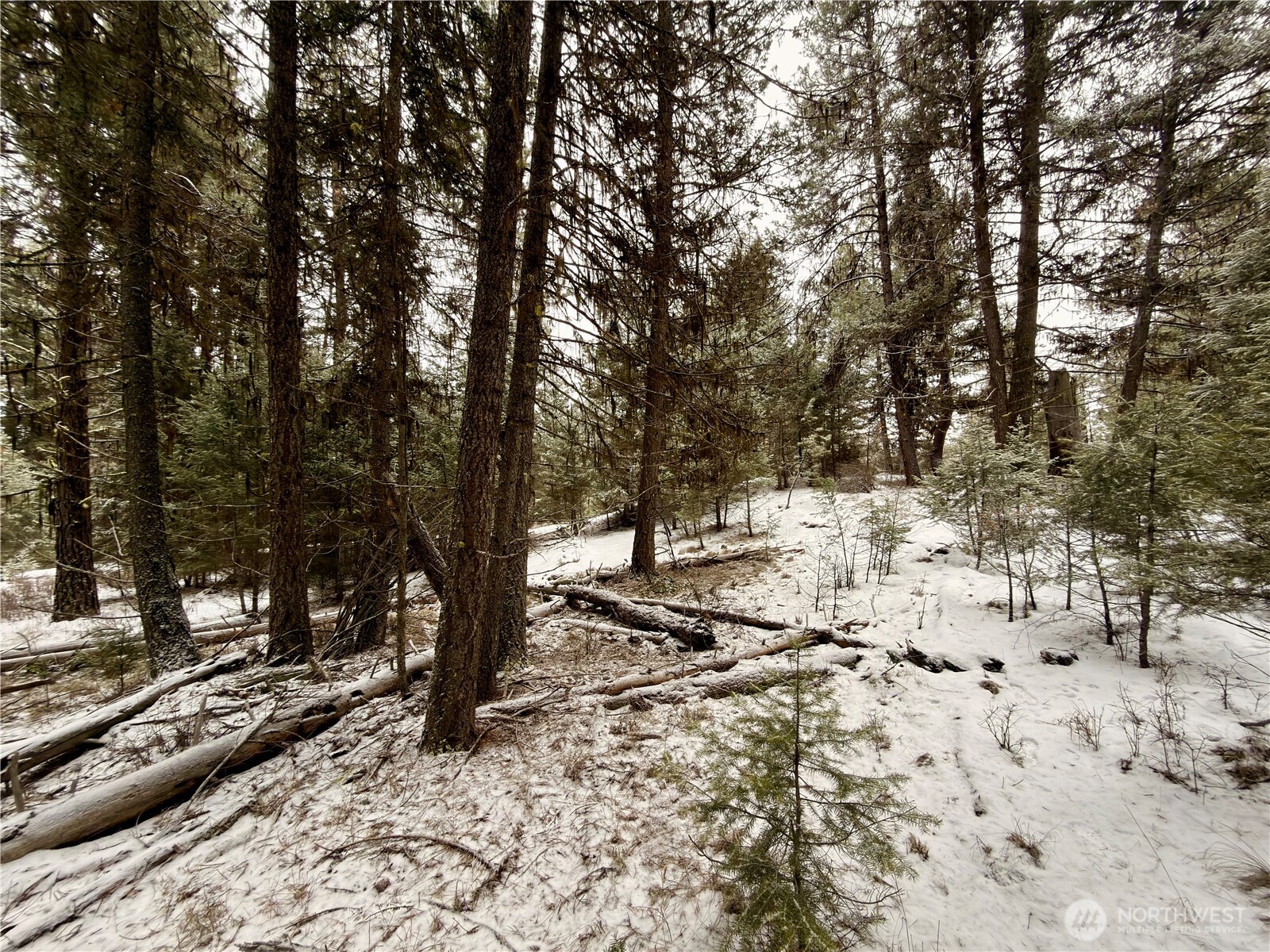 25 Miner's Ridge Road