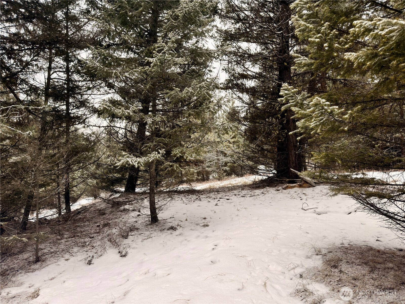 25 Miner's Ridge Road