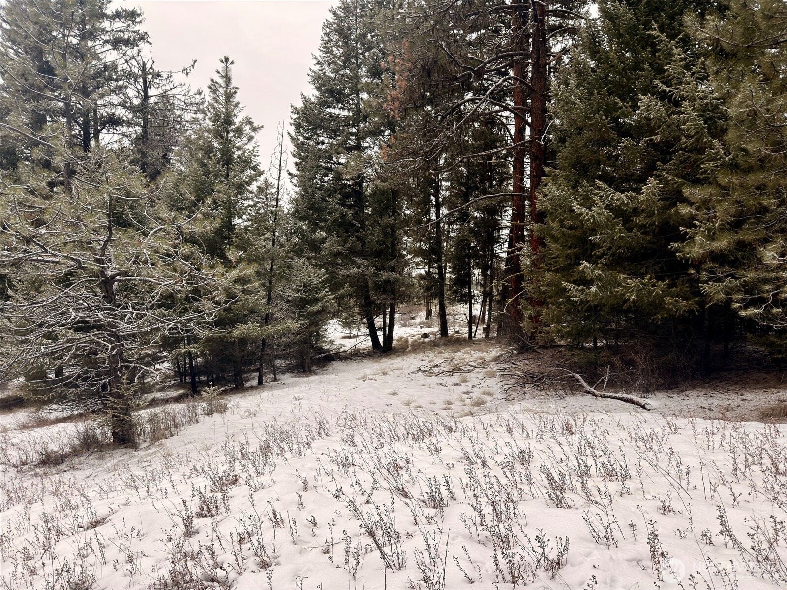 25 Miner's Ridge Road