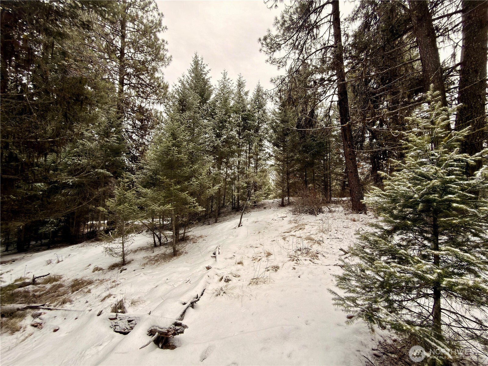 25 Miner's Ridge Road