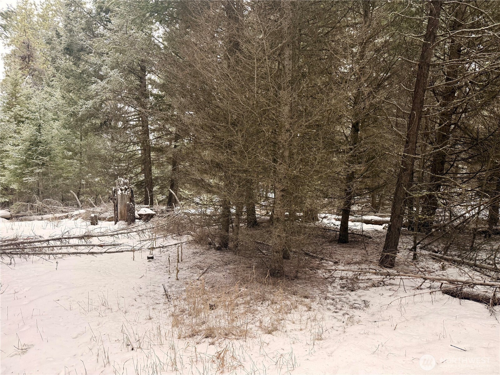 25 Miner's Ridge Road