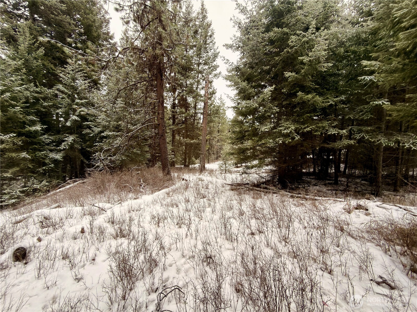 25 Miner's Ridge Road