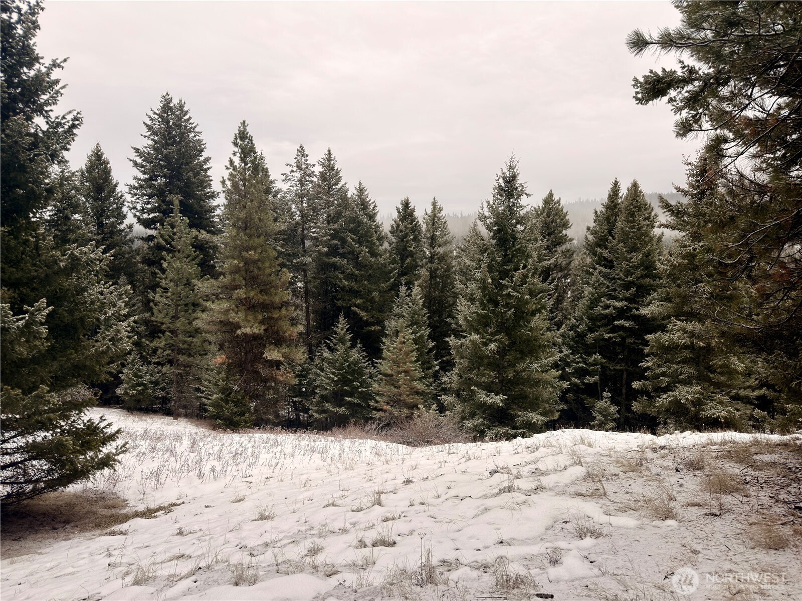 25 Miner's Ridge Road