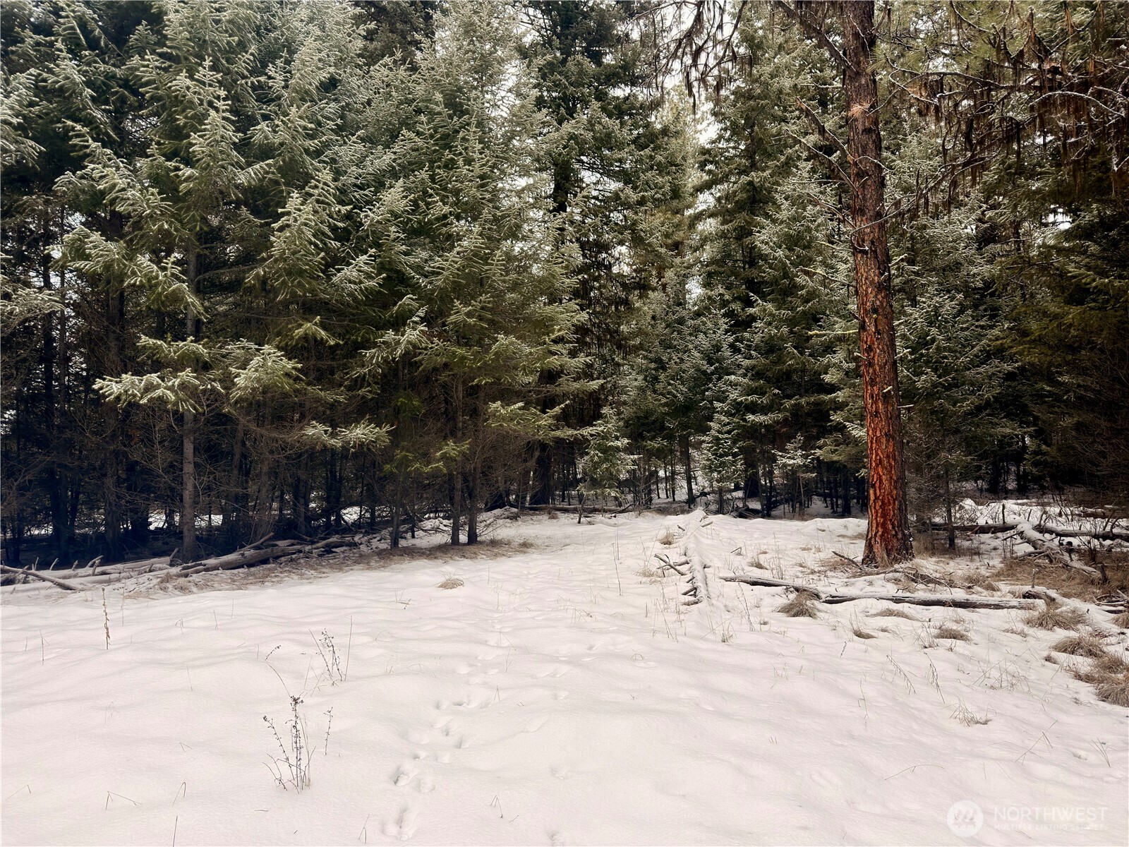 25 Miner's Ridge Road