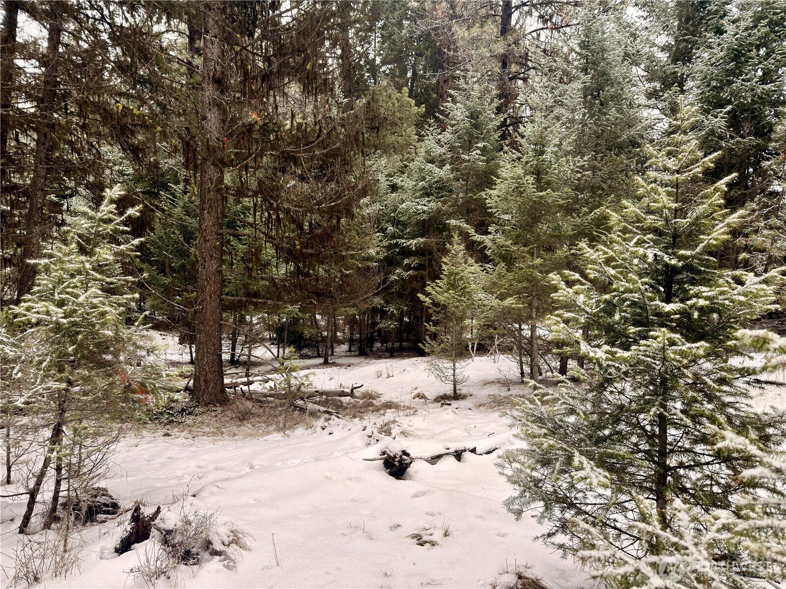 25 Miner's Ridge Road