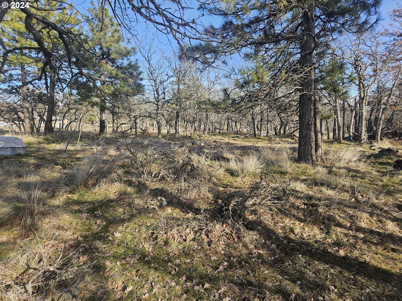000 WOODLAND RD
