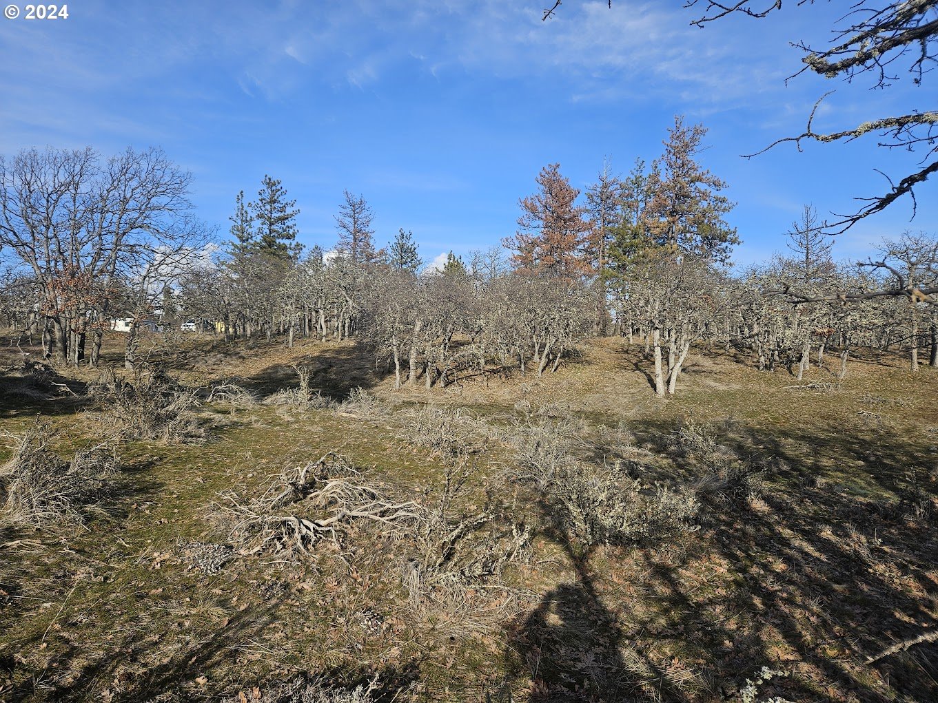 000 WOODLAND RD
