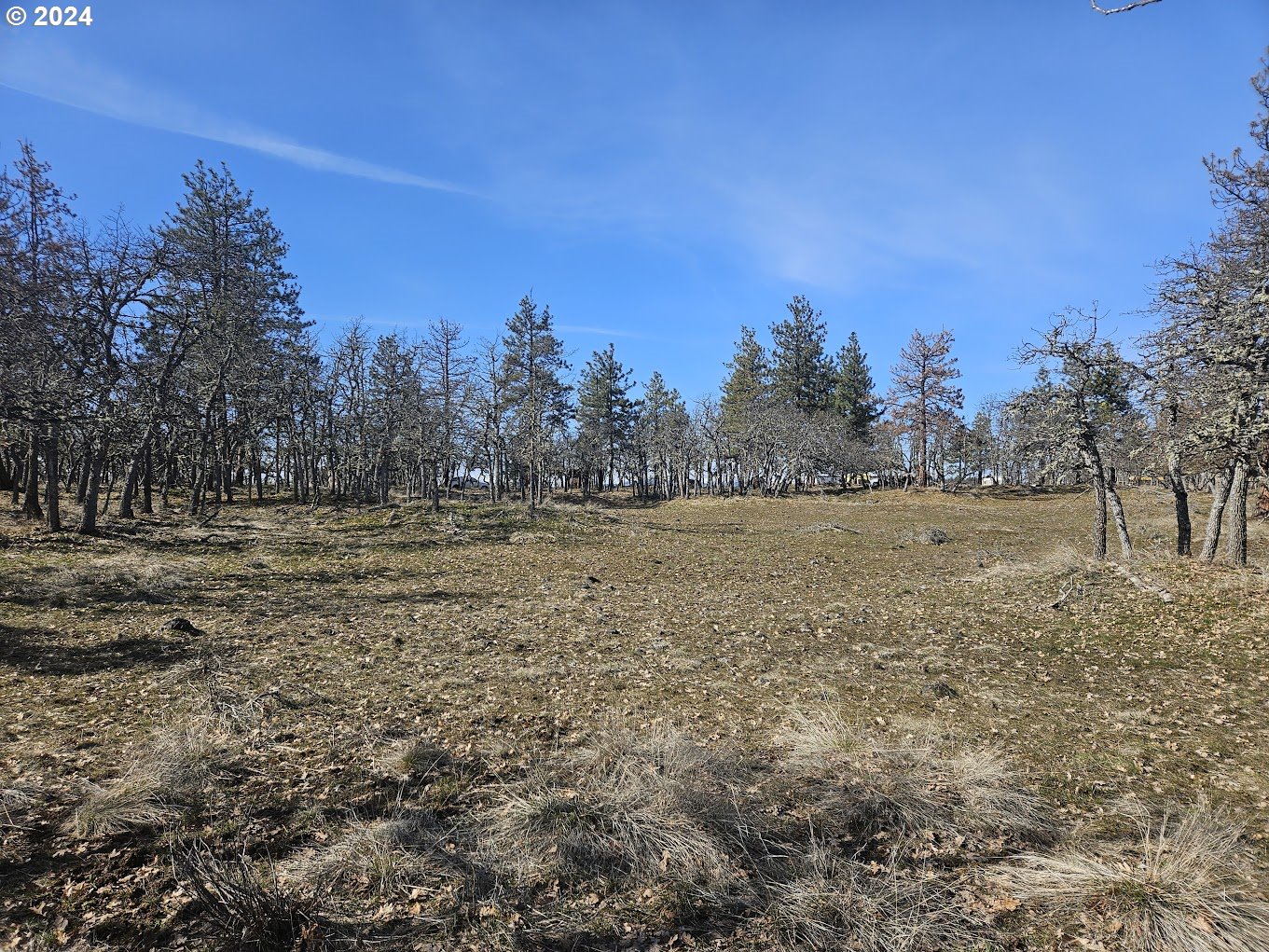000 WOODLAND RD