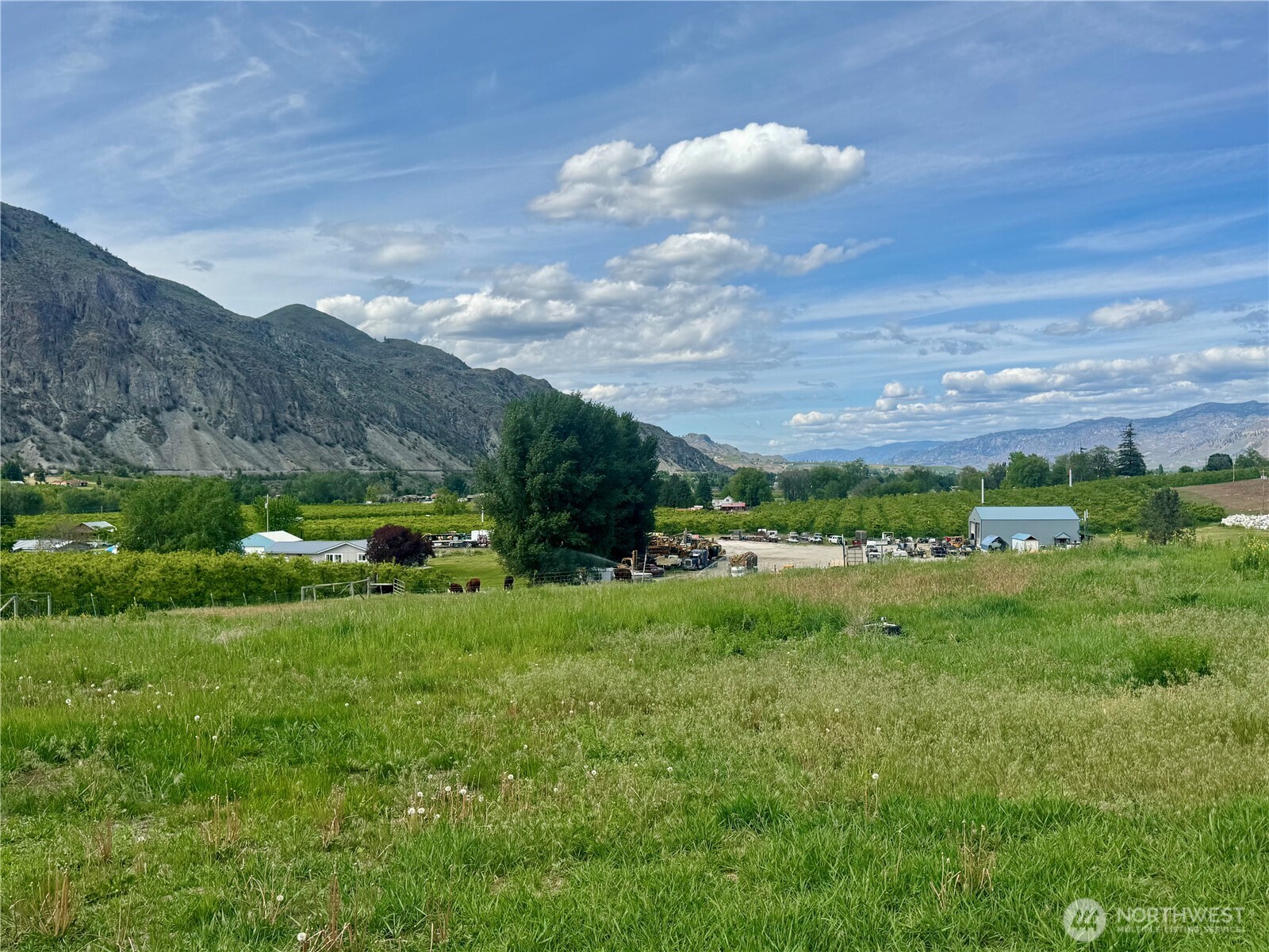 31 Apple Meadow Drive