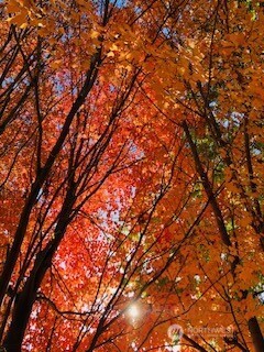 2720 NW Cascade Avenue