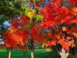 2720 NW Cascade Avenue